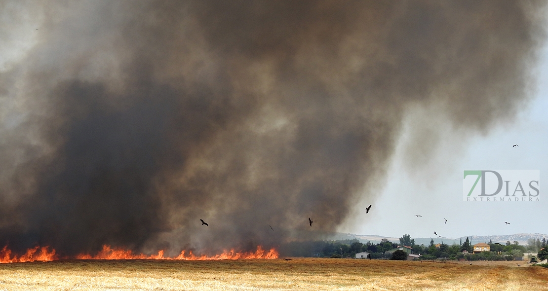 Un incendio amenaza a la urbanización Río Caya (Badajoz)