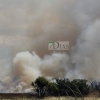 Primer incendio forestal de la temporada, entre Badajoz y Olivenza