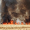 Un incendio amenaza a la urbanización Río Caya (Badajoz)