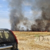 Un incendio amenaza a la urbanización Río Caya (Badajoz)