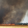 Un incendio amenaza a la urbanización Río Caya (Badajoz)