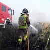 Primer incendio forestal de la temporada, entre Badajoz y Olivenza