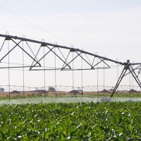 Declaran la transformación en regadío en el Valle del Ambroz