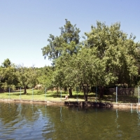 Un niño de tres años sufre un accidente grave en una piscina