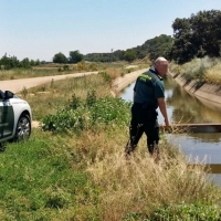 La Guardia Civil y dos vecinos de Lobón recatan a una mujer que cayó al canal