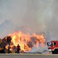 El fuego arrasa una empresa de alfalfa en Villafranco del Guadiana (BA)