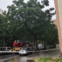 Cortada parte de una calle de Badajoz tras la caída de ramas de árboles sobre varios vehículos