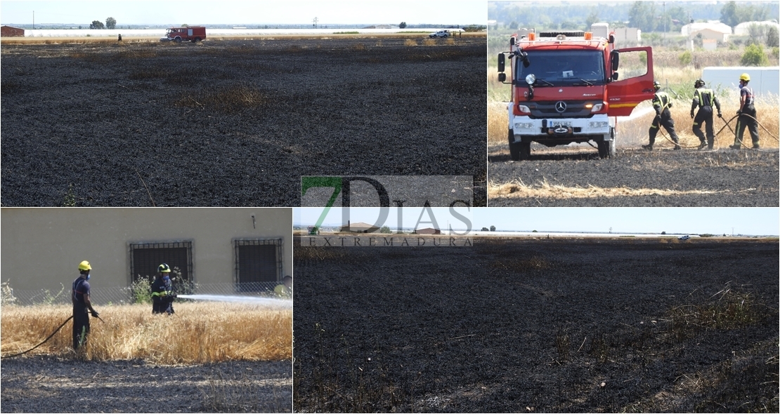 Los Bomberos sofocan un incendio en Montijo antes de afectar a viviendas