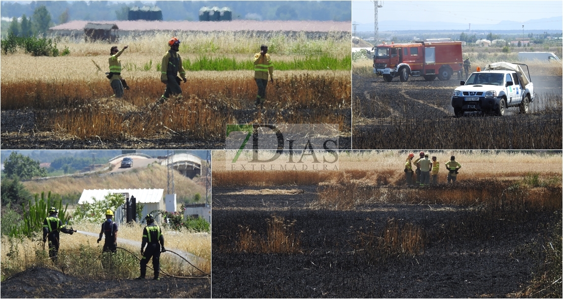 Los Bomberos sofocan un incendio en Montijo antes de afectar a viviendas