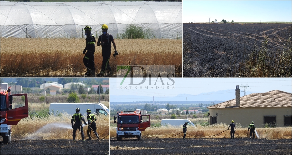 Los Bomberos sofocan un incendio en Montijo antes de afectar a viviendas