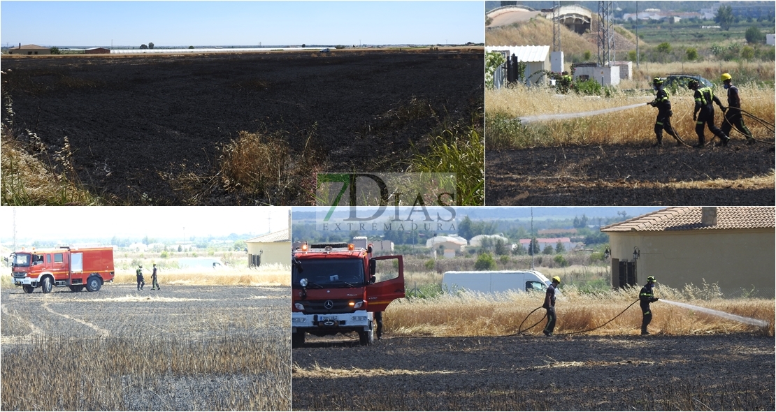 Los Bomberos sofocan un incendio en Montijo antes de afectar a viviendas