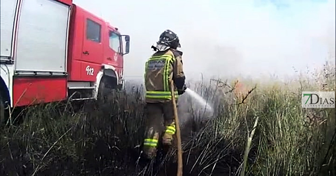 Primer incendio forestal de la temporada, entre Badajoz y Olivenza