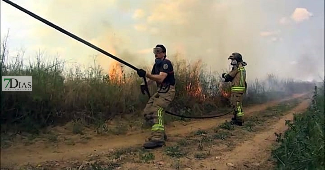 Primer incendio forestal de la temporada, entre Badajoz y Olivenza