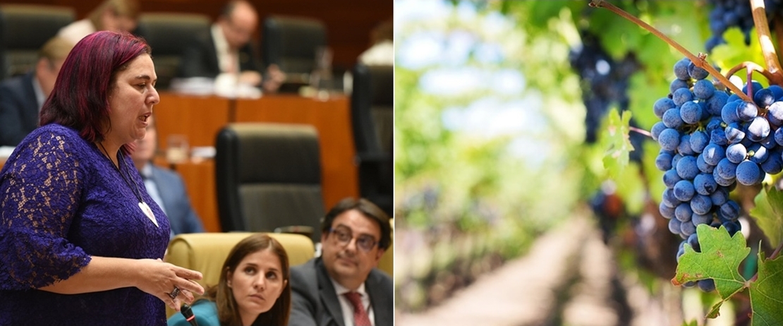 La Unión: &quot;Discriminación insultante al sector del vino extremeño y la consejera tan contenta&quot;