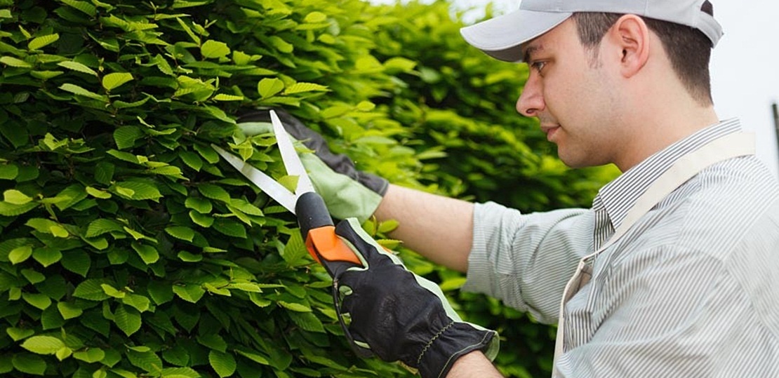 Más de 35 millones para el Programa Empleo de Experiencia