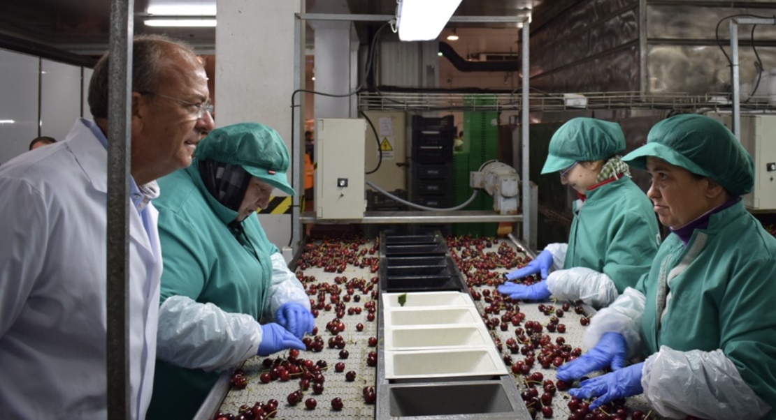 Monago reclama una estrategia de internacionalización del sector de la cereza