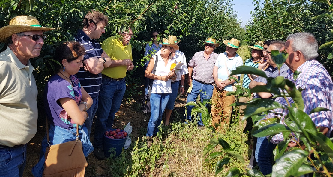 UPA: “Queremos mejoras en los seguros sin que suponga más coste para el agricultor”