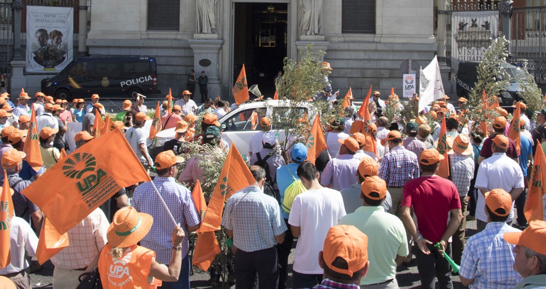 UPA-UCE se suma a la protesta contra los aranceles a la aceituna negra