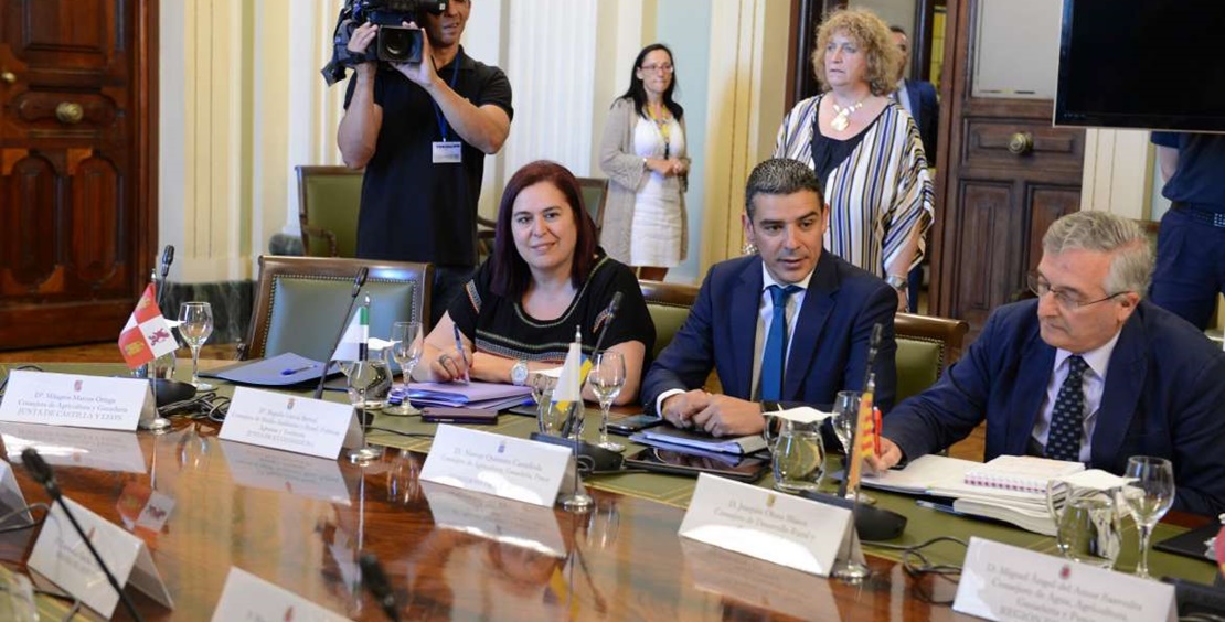 El Ministerio creará un grupo de trabajo sobre la reconversión del viñedo