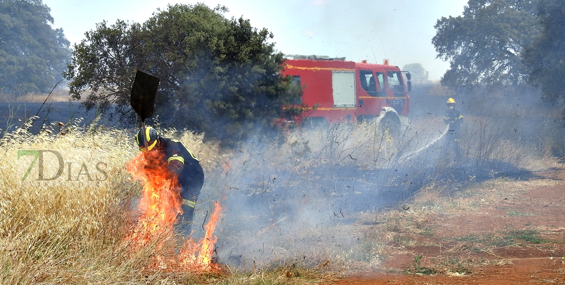 Incendio forestal en Tierra de Barros