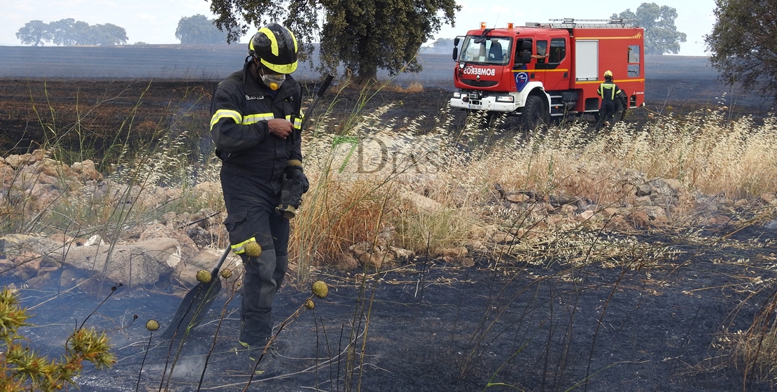 Incendio forestal en Tierra de Barros