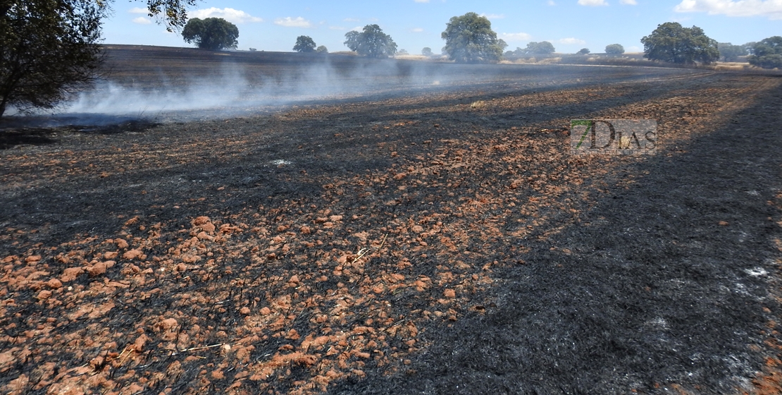 Incendio forestal en Tierra de Barros