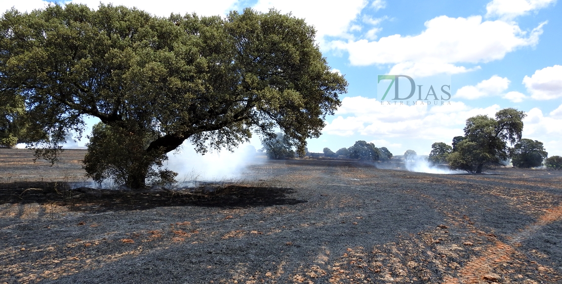 Incendio forestal en Tierra de Barros