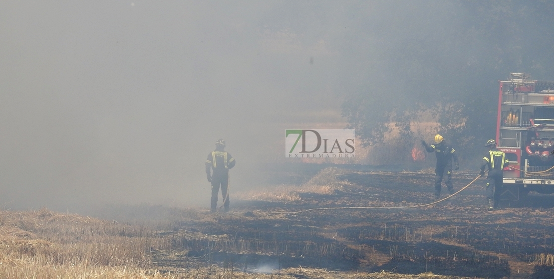 Incendio forestal en Tierra de Barros