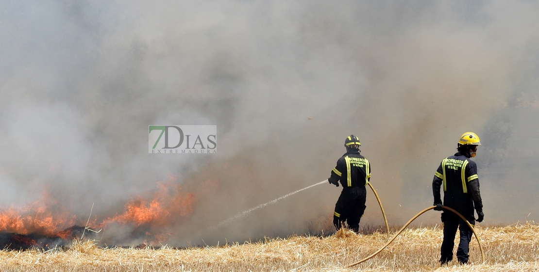 Incendio forestal en Tierra de Barros