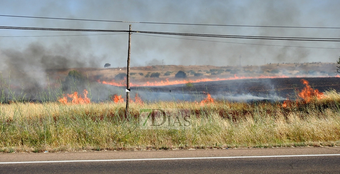 El fuego calcina una antigua discoteca de la Carretera de Olivenza