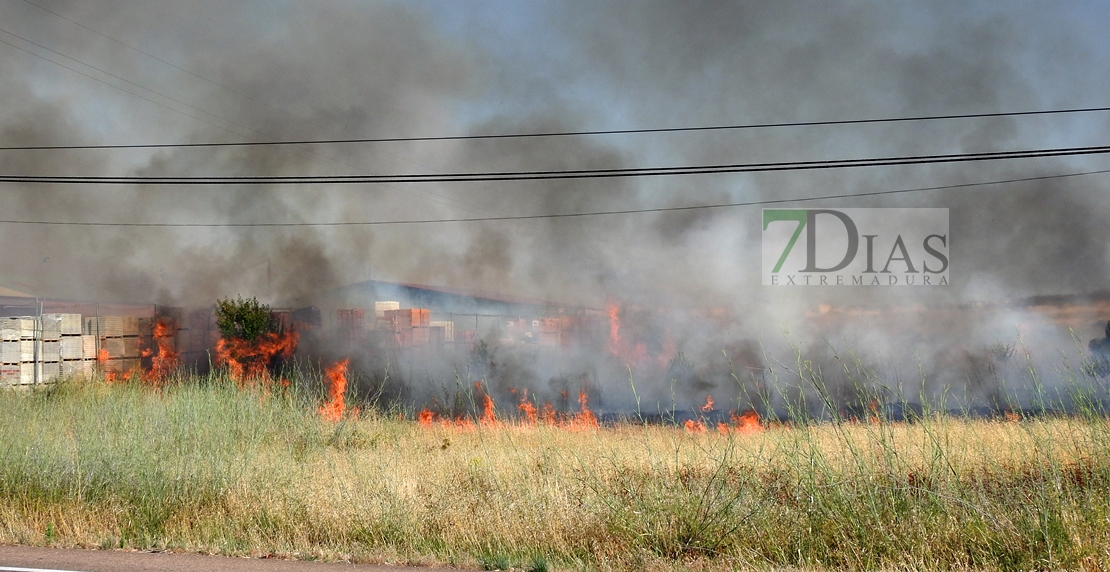 El fuego calcina una antigua discoteca de la Carretera de Olivenza