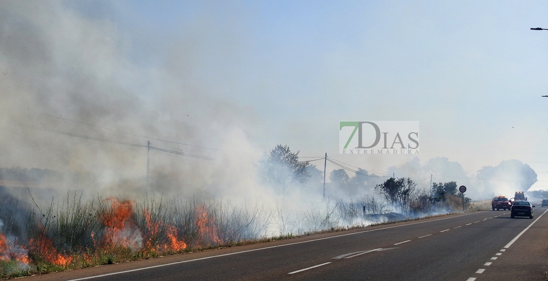 El fuego calcina una antigua discoteca de la Carretera de Olivenza