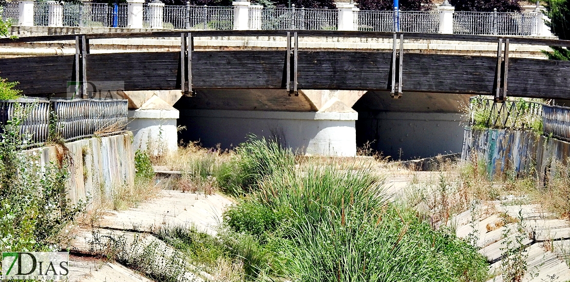 El salvaje estado que ofrece el Rivillas a su paso por Badajoz