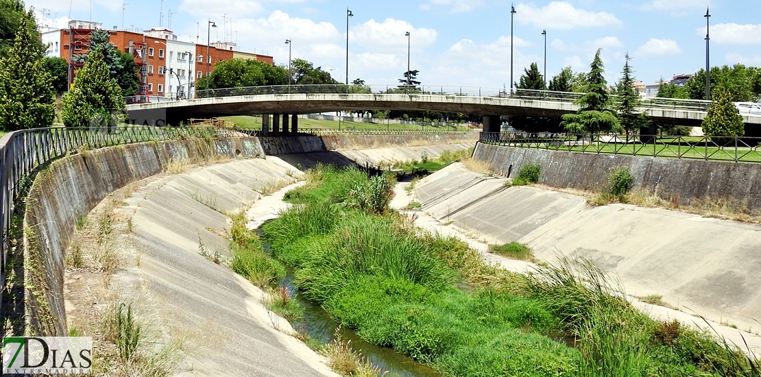 El salvaje estado que ofrece el Rivillas a su paso por Badajoz