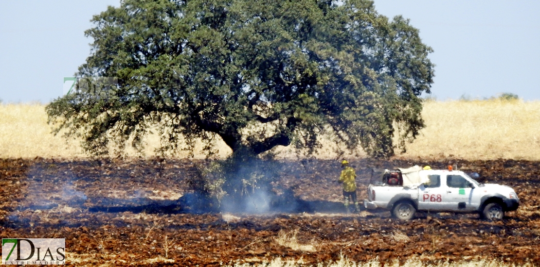 Los bomberos del CEPEI y del INFOEX actúan en un incendio en la Albuera