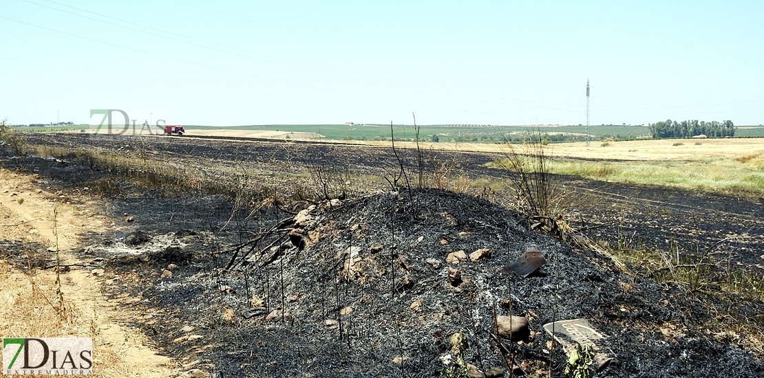 Los bomberos del CEPEI y del INFOEX actúan en un incendio en la Albuera