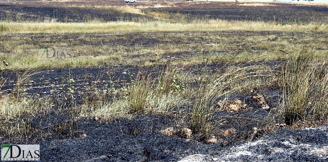 Los bomberos del CEPEI y del INFOEX actúan en un incendio en la Albuera