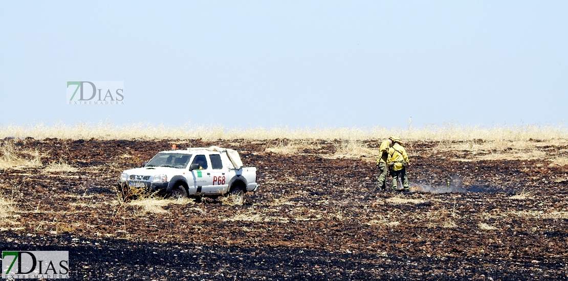 Los bomberos del CEPEI y del INFOEX actúan en un incendio en la Albuera