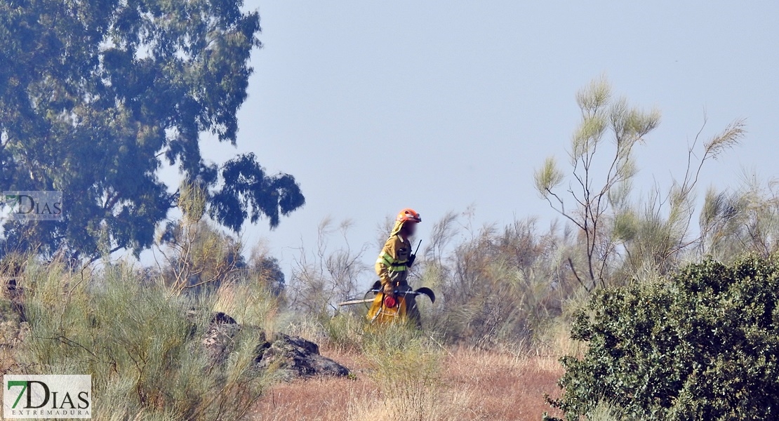 Desactivado el nivel 1 de peligrosidad tras más de dos horas de extinción en Proserpina