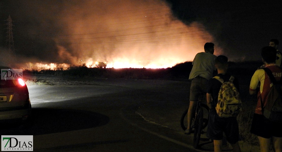 Un incendio cercano al Puente Real sorprendía a los pacenses la pasada noche