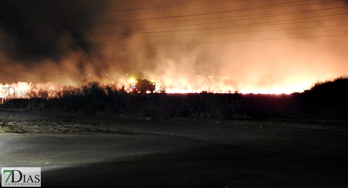 Un incendio cercano al Puente Real sorprendía a los pacenses la pasada noche