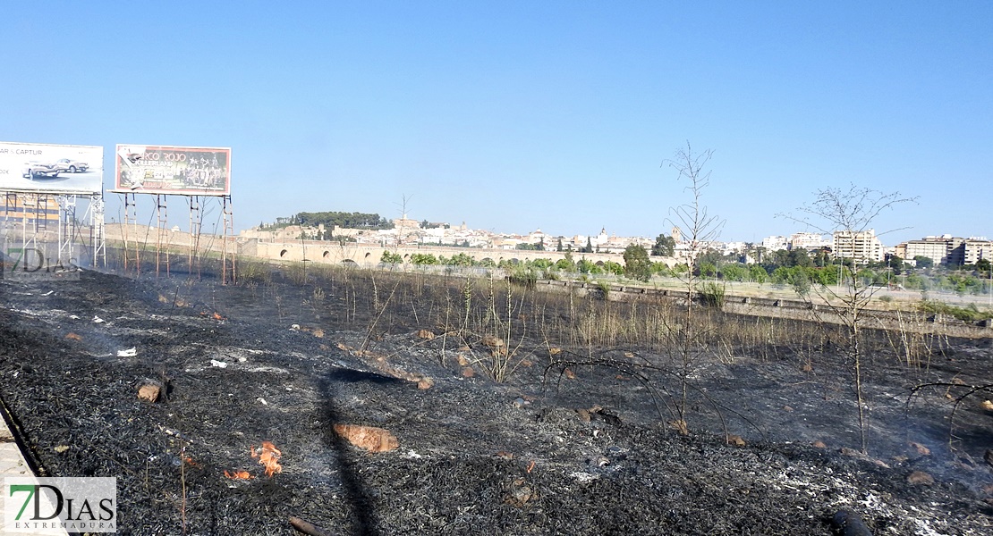 Incendio cercano al pabellón Juancho Pérez (Entrepuentes) Badajoz