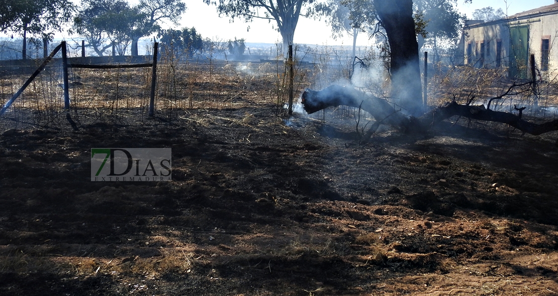 Un incendio en la frontera calcina 150 hectáreas (Badajoz)