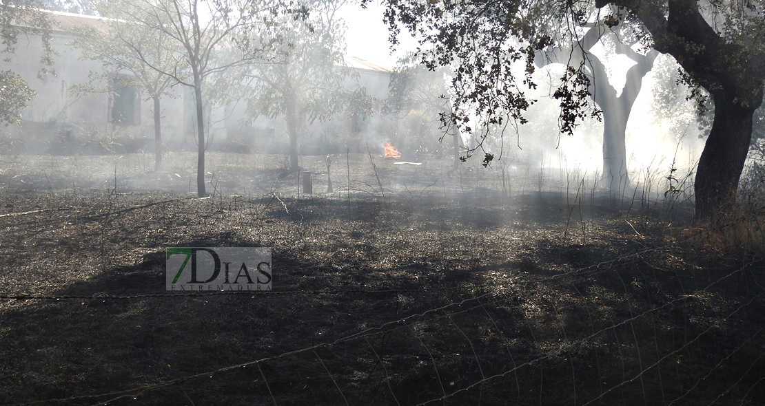 Un incendio en la frontera calcina 150 hectáreas (Badajoz)