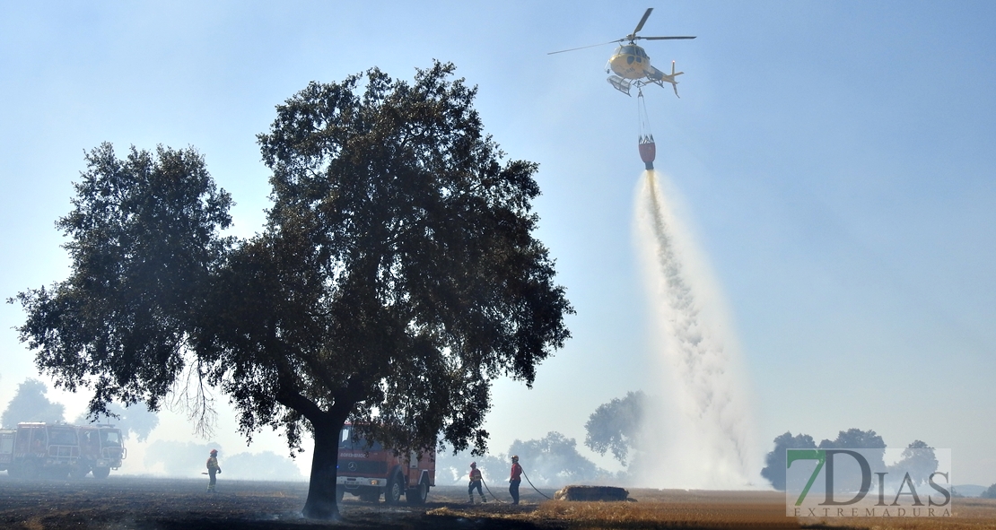 Un incendio en la frontera calcina 150 hectáreas (Badajoz)