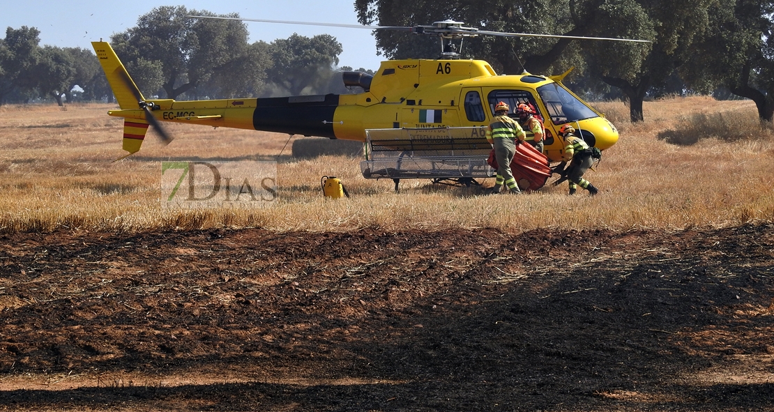 Un incendio en la frontera calcina 150 hectáreas (Badajoz)