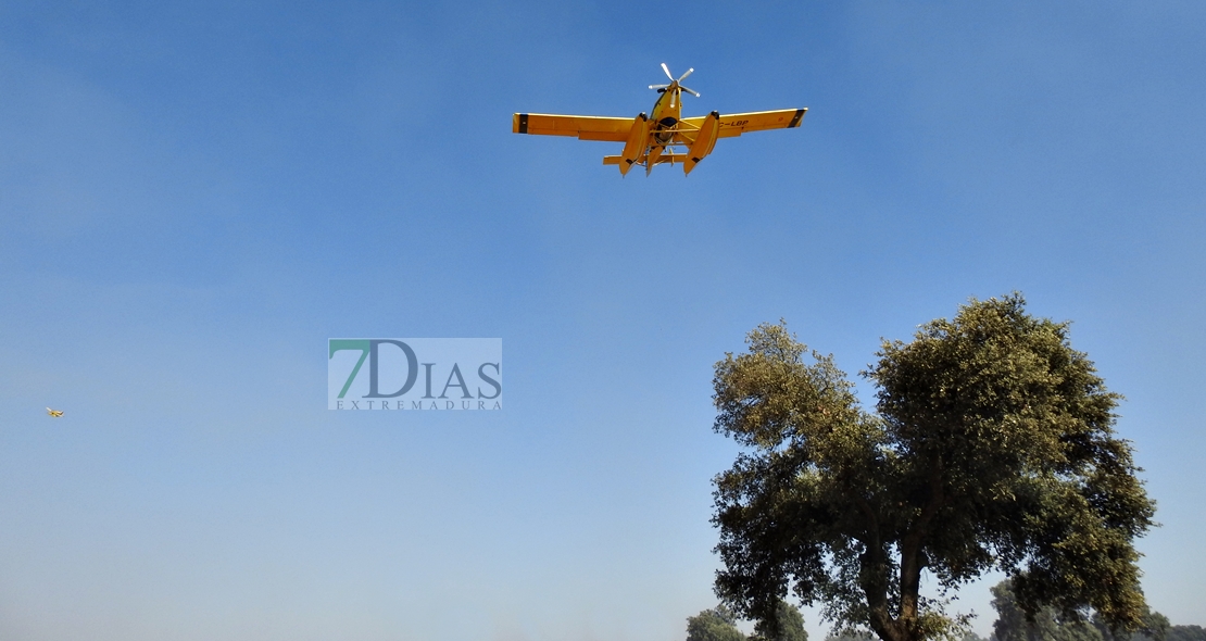 Un incendio en la frontera calcina 150 hectáreas (Badajoz)