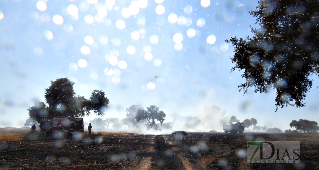 Un incendio en la frontera calcina 150 hectáreas (Badajoz)