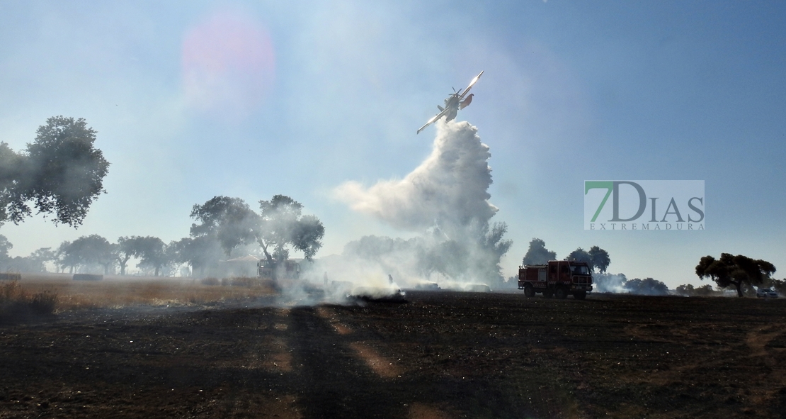 Un incendio en la frontera calcina 150 hectáreas (Badajoz)