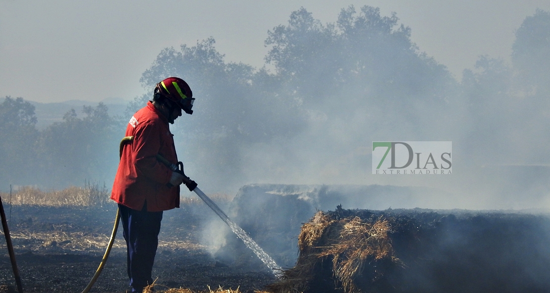 Un incendio en la frontera calcina 150 hectáreas (Badajoz)